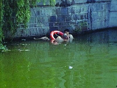 河 在线观看,探寻生命之源的壮丽画卷  第2张